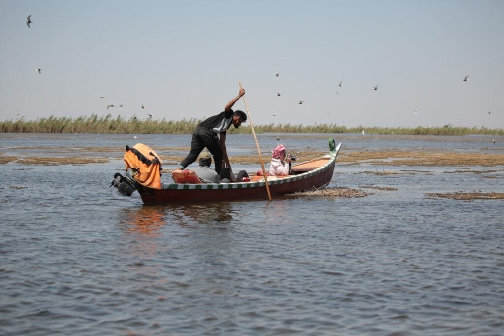 Marismas de Mesopotamia, Irak. Foto de Mariam Khalifa Bris