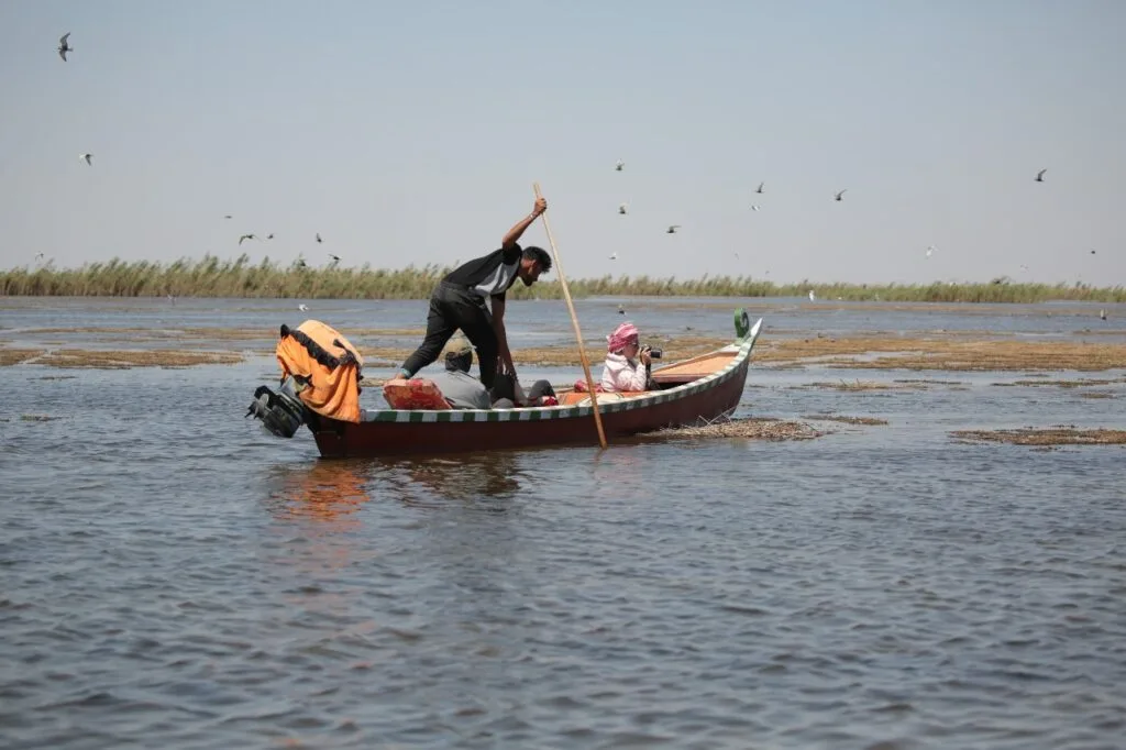 Marismas de Mesopotamia, Irak. Foto de Mariam Khalifa Bris